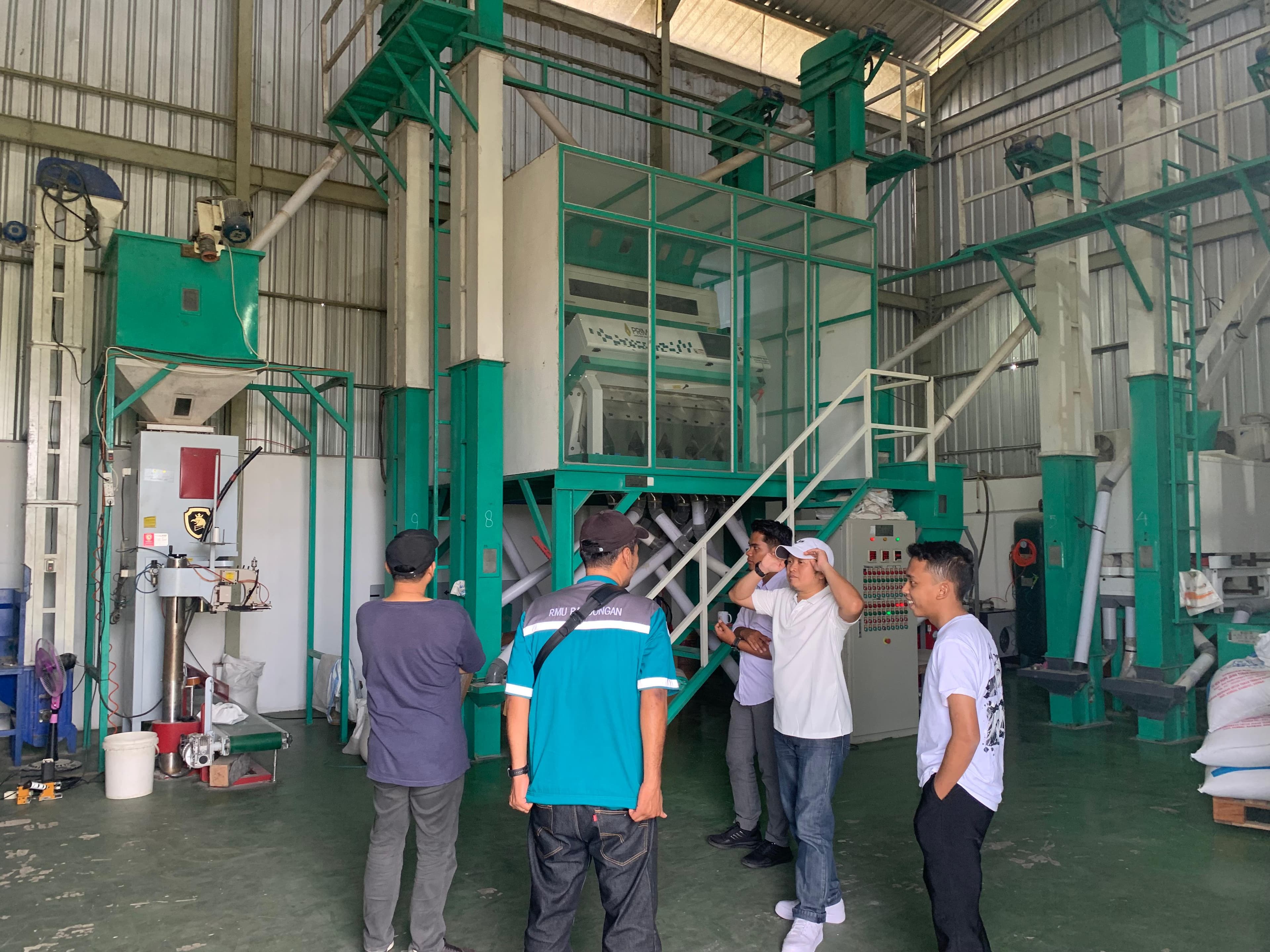 Vanilla Beans (Vanili)